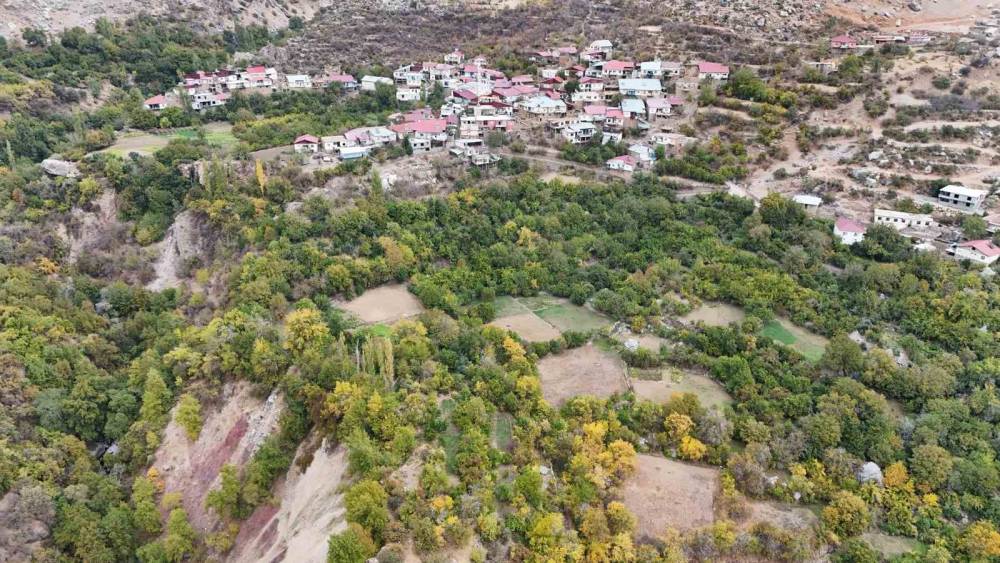 Diyarbakır'da Bu Köy Karadeniz ve Akdeniz İklimini Yaşıyor: Portakal, Fındık ve Limon Yetiştiriliyor