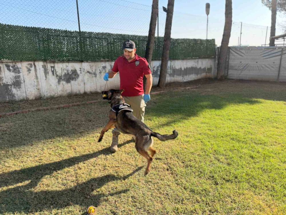 Hector Ve Mailo, Batman’da Uyuşturucu Tacirlerinin Korkulu Rüyası Oldu