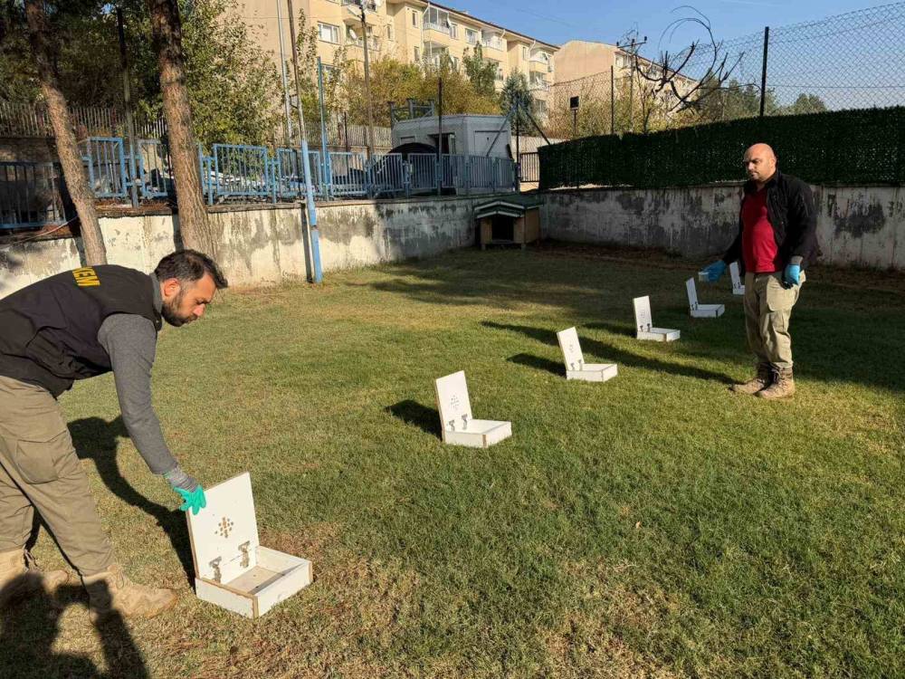 Hector Ve Mailo, Batman’da Uyuşturucu Tacirlerinin Korkulu Rüyası Oldu