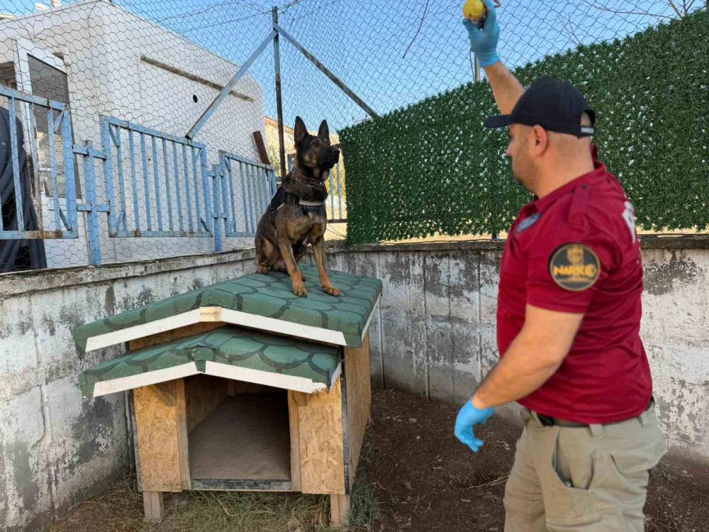 Hector Ve Mailo, Batman’da Uyuşturucu Tacirlerinin Korkulu Rüyası Oldu