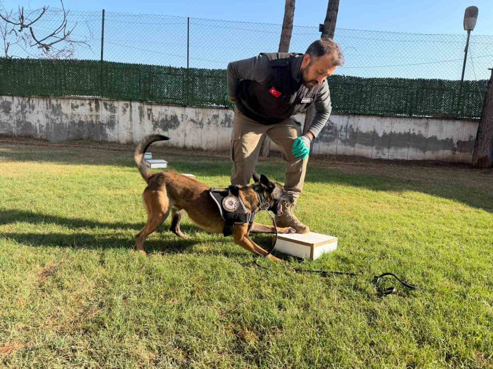 Hector Ve Mailo, Batman’da Uyuşturucu Tacirlerinin Korkulu Rüyası Oldu