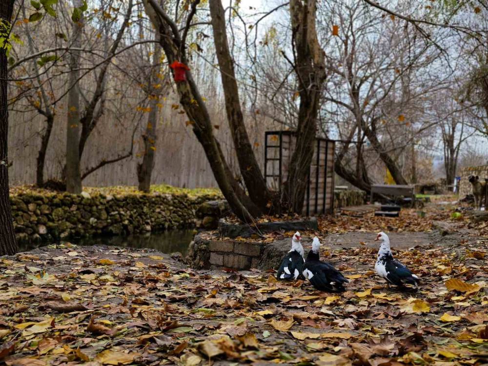 Savur, Doğal Güzelliğiyle Ziyaretçileri Mest Ediyor