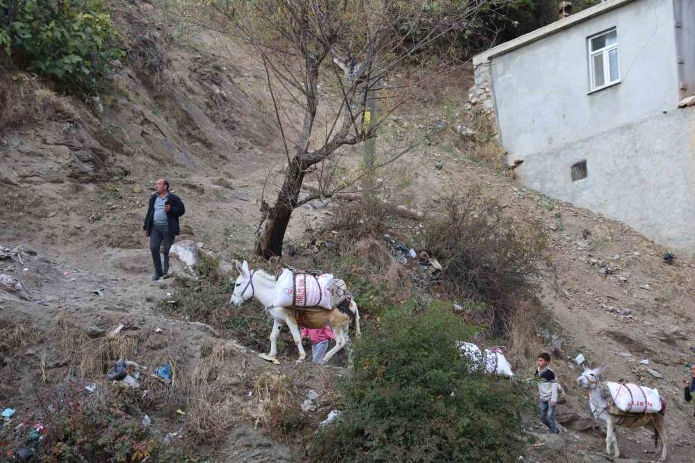 Diyarbakır’ın Kırsal Mahallesinde Yükler Eşeklerle Evlere Götürülüyor