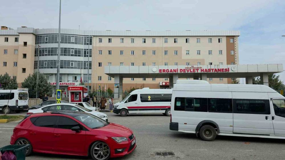 Diyarbakır’da Damat Katliamı: Kayınbabası Ve Kayınbiraderini Öldürdü