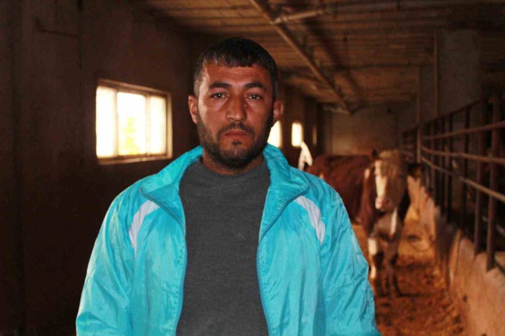 3 Buçuk Ayda 54 Büyükbaş Hayvanı Telef Olan Besicinin Zararı 8 Milyon Lirayı Buldu