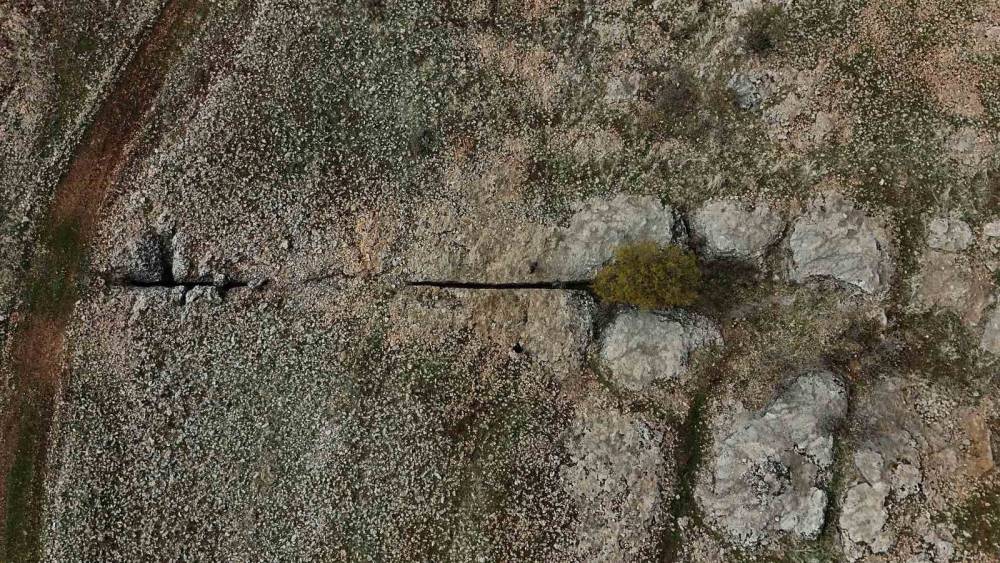 Diyarbakır’da Yüz Milyonlarca Yıl Önceye Ait Fosiller Bulundu