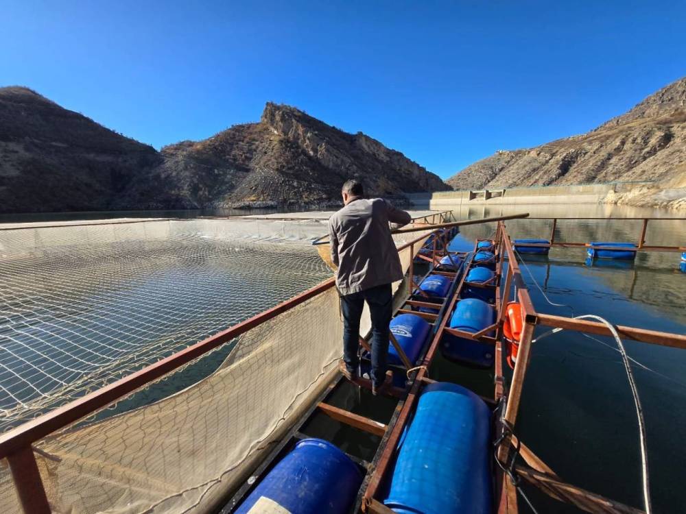 Uludere’de Alabalık Üretim Tesislerine Denetim