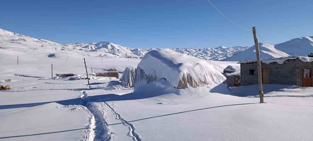 Şırnak'ta Bir Aile Koyunları İçin Dondurucu Soğukta Yaylada Kaldı