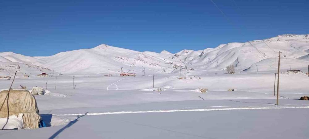 Şırnak'ta Bir Aile Koyunları İçin Dondurucu Soğukta Yaylada Kaldı