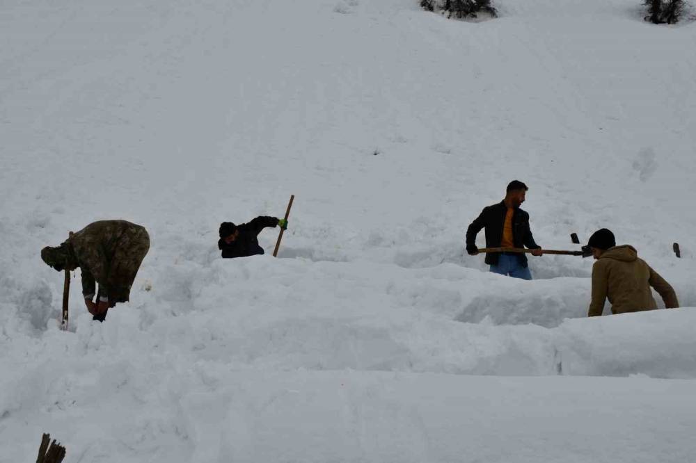 Şırnak’ta Bal Arıları Çığ Altında Kaldı