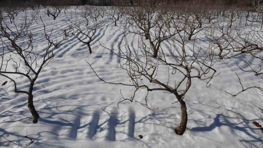 Kar Yağışı Gaziantep’te Çiftçinin Yüzünü Güldürdü