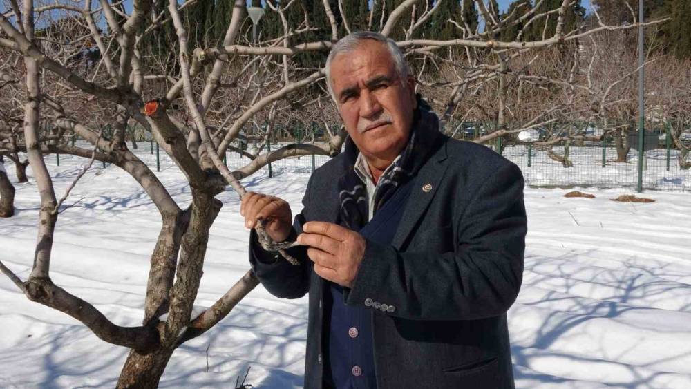 Kar Yağışı Gaziantep’te Çiftçinin Yüzünü Güldürdü