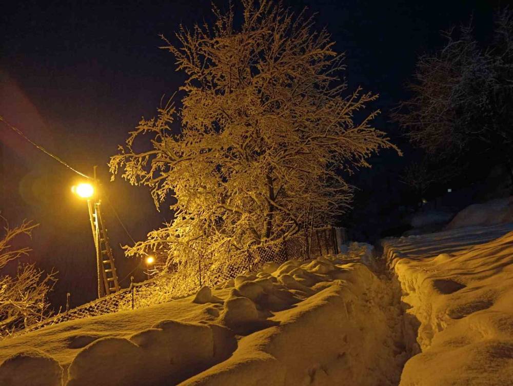 Batman Kırsalında Kar Kalınlığı 1 Metreyi Aştı, Yollar Kapandı
