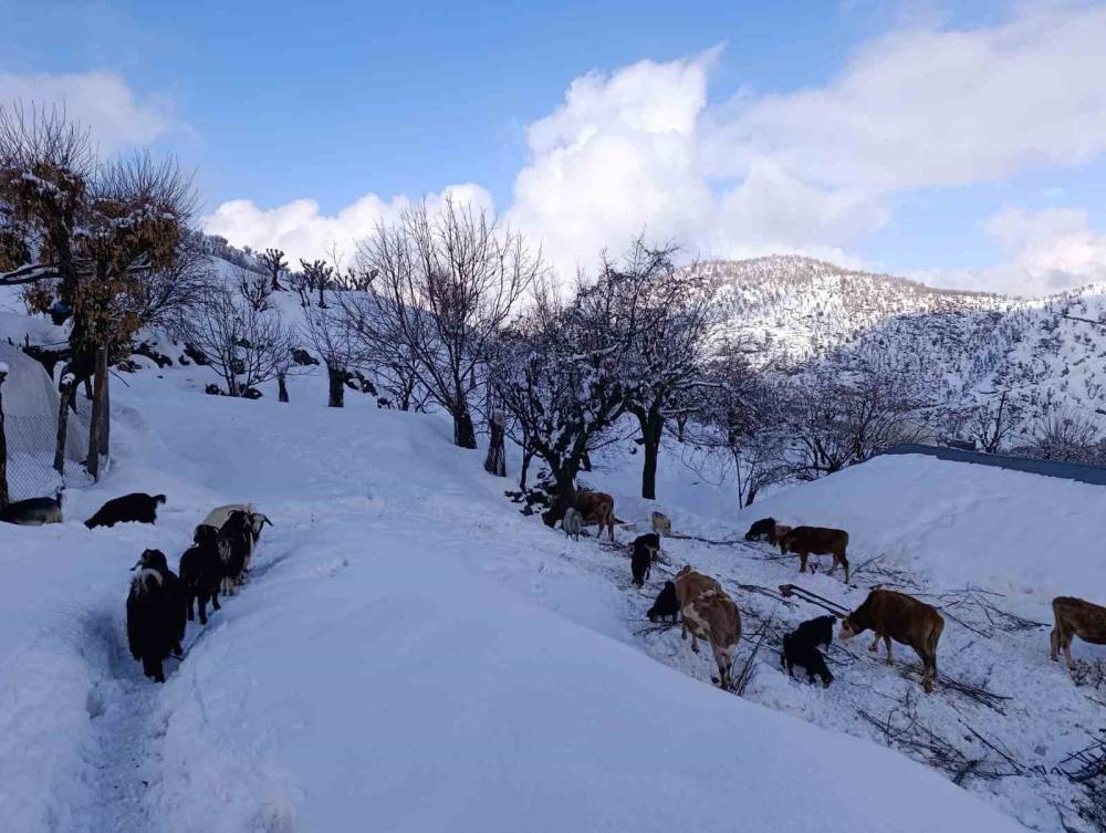 Batman Kırsalında Kar Kalınlığı 1 Metreyi Aştı, Yollar Kapandı