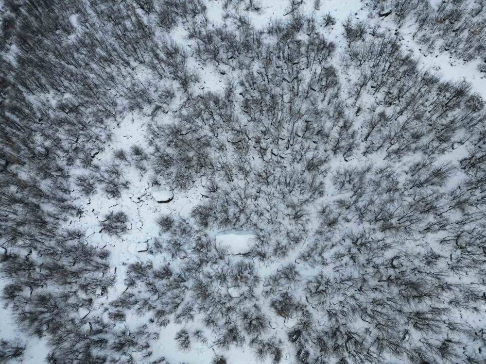 Şırnak Bal Ormanlarında Kartpostallık Görüntüler