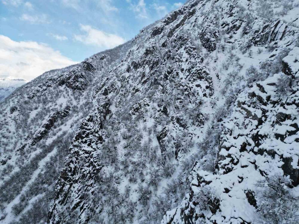 Şırnak Bal Ormanlarında Kartpostallık Görüntüler