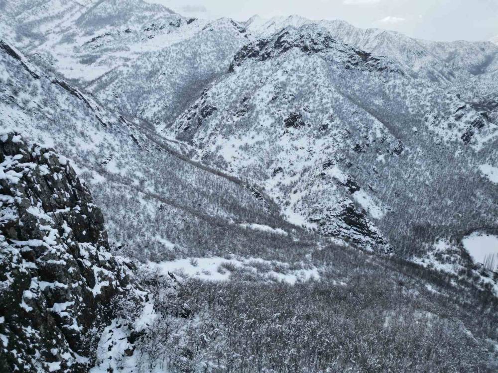 Şırnak Bal Ormanlarında Kartpostallık Görüntüler