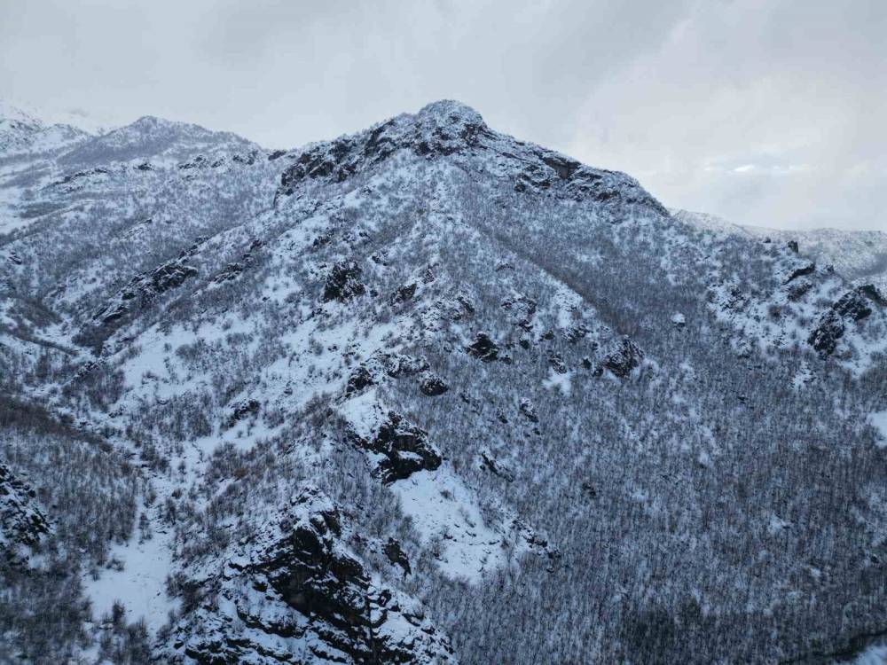 Şırnak Bal Ormanlarında Kartpostallık Görüntüler