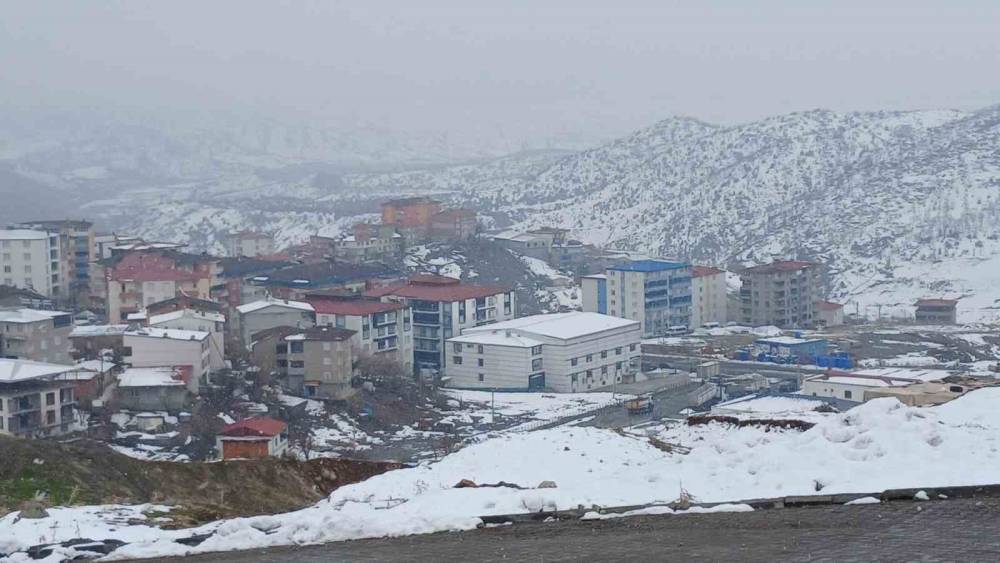 Kulp’ta Yüksek Kesimler Beyaza Büründü