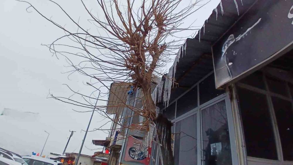 Kulp’ta Yüksek Kesimler Beyaza Büründü