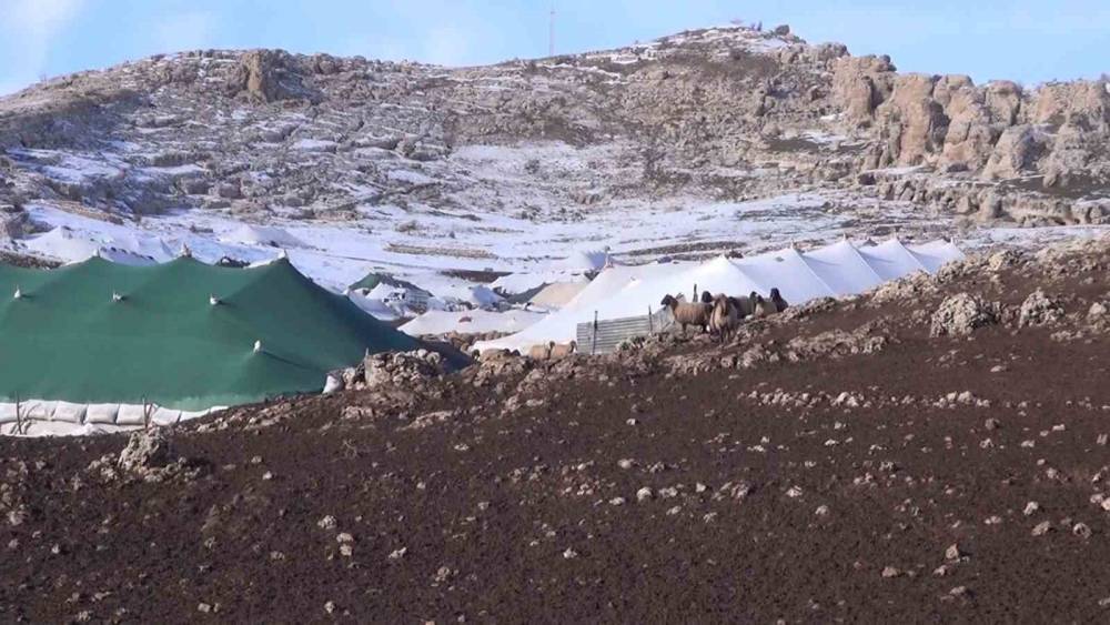 Sabit Bir Evleri Yok, Umutları Var: Şırnak'ta Konar Göçerlerin Hikâyesi