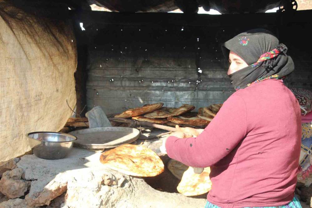 Sabit Bir Evleri Yok, Umutları Var: Şırnak'ta Konar Göçerlerin Hikâyesi