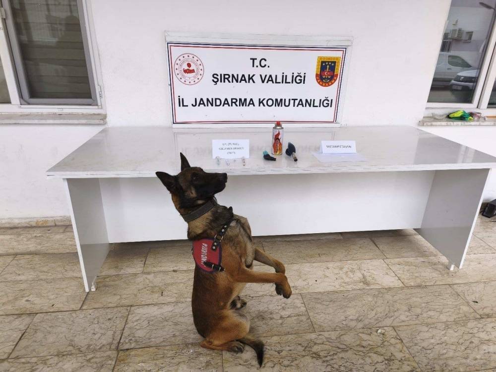 Şırnak'ta Kaçakçılık Operasyonu: 27 Milyon Lira Değerinde Malzeme Ele Geçirildi