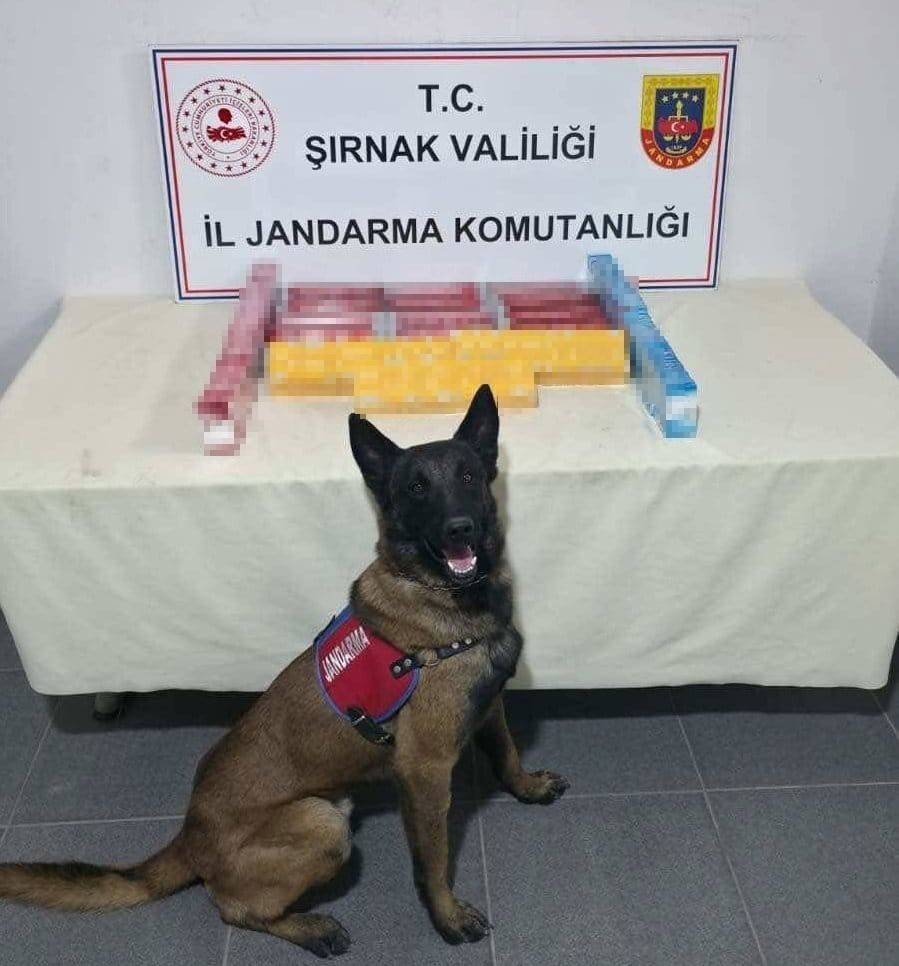 Şırnak'ta Kaçakçılık Operasyonu: 27 Milyon Lira Değerinde Malzeme Ele Geçirildi