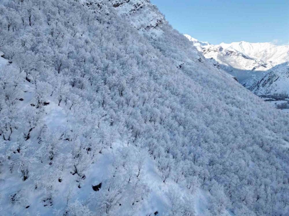 Şırnak’ta Dereler Buz Tuttu