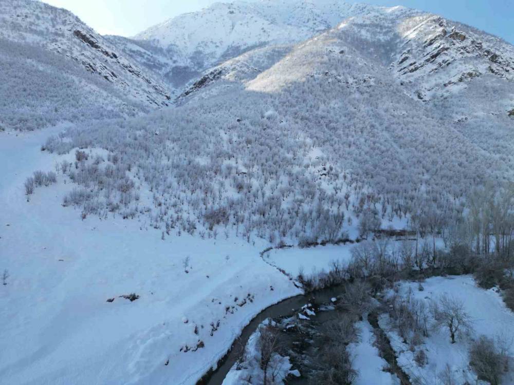 Şırnak’ta Dereler Buz Tuttu