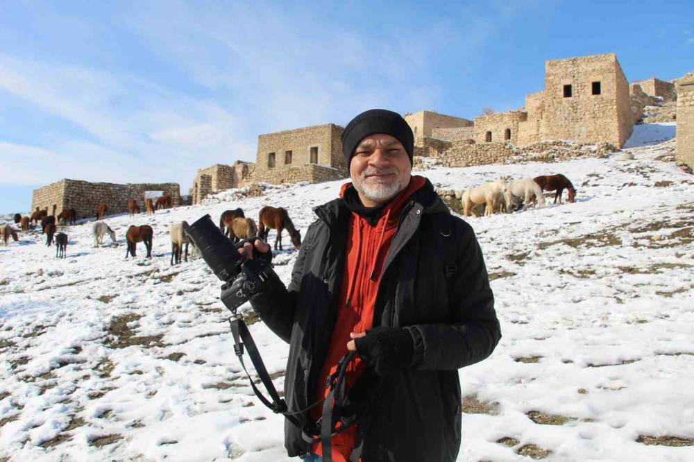 Şırnak’ın Saklı Güzelliği: Gabar Dağı’nda Yılkı Atları Objektiflere Yansıdı
