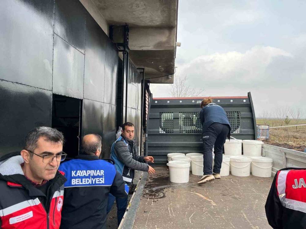 Diyarbakır’da 5 İşletmede Ele Geçirilen 460 Kilogram Peynir İmha Edildi