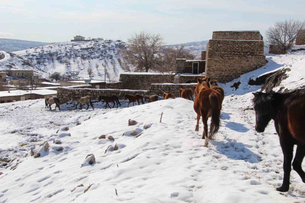 Şırnak'ta 1990'lı Yıllarda Boşaltılan Köy Yeniden Canlanıyor