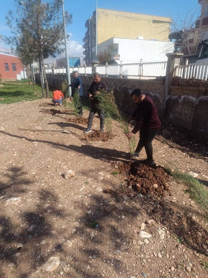 yesil-silopi-hayalimiz-icin-ciktigimiz-bu-yolda-ilcemizde-hep-birlikte-fidanlarimizi-toprakla-4.jpg