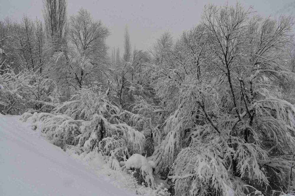 Beytüşşebap Ve Uludere İlçelerinde Kar Yağışı Etkili Oldu