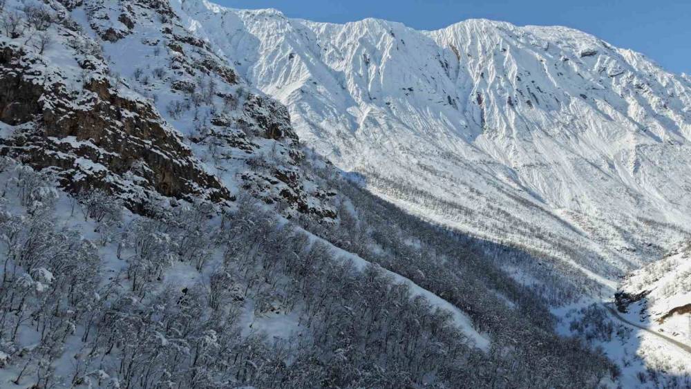 Şırnak’ta Ormanlık Alan Beyaza Büründü