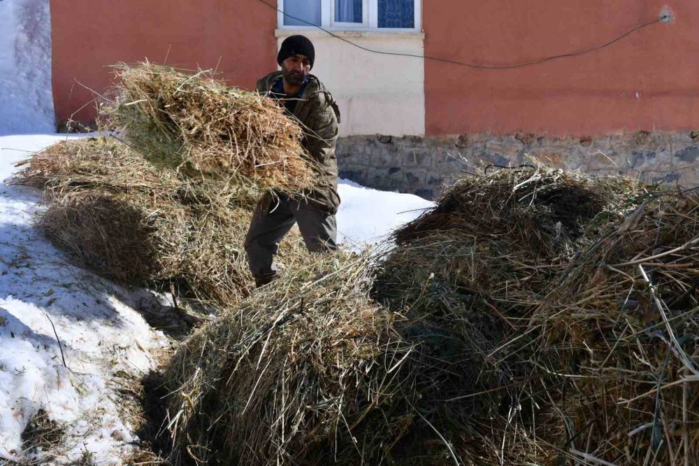 Şırnak’ta Köyden Kente Yoğun Göç Nedeni ile Keçi Besiciliği Gittikçe Yok Oluyor