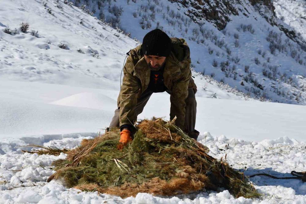 Şırnak’ta Köyden Kente Yoğun Göç Nedeni ile Keçi Besiciliği Gittikçe Yok Oluyor