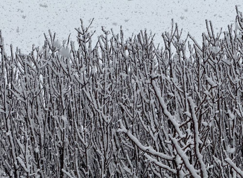 Mazıdağı’nda Mart Ayında Kar Yağışı Etkili Oldu