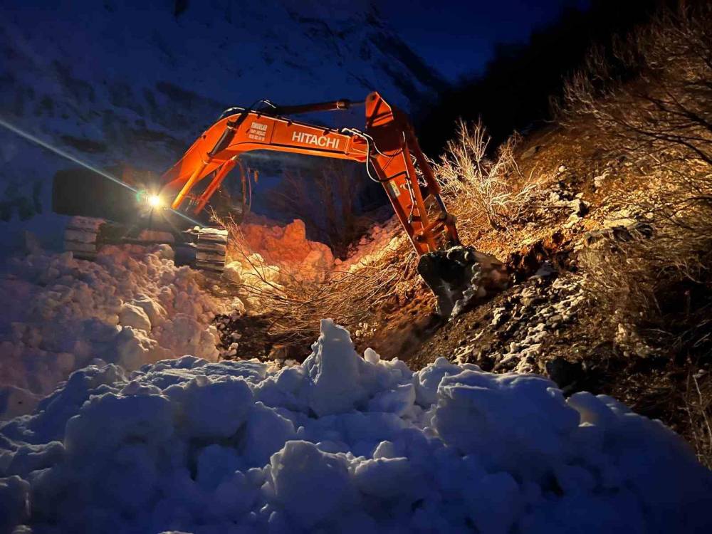 Şırnak'ta Çığın Vurduğu İlçede, Devlet ve İlgili Kurumlar Sahada