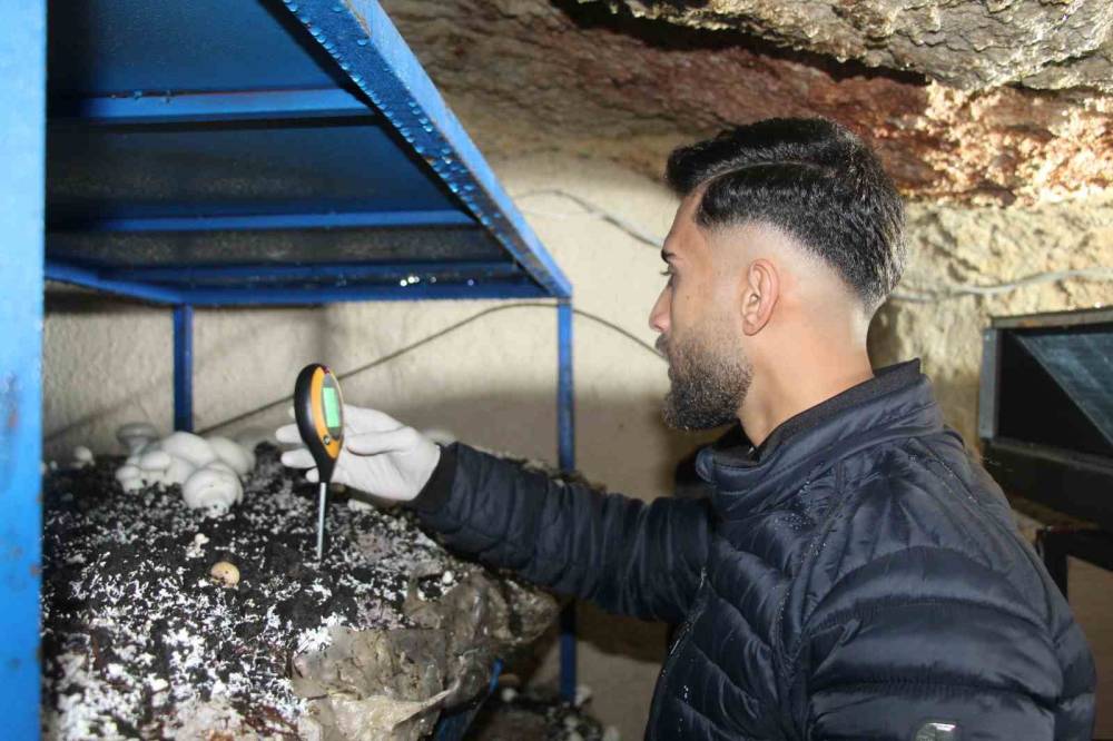 Şırnak'ta 2 Bin Yıllık Tarihi Mağarada Mantar Üretim Tesisi Kurdu