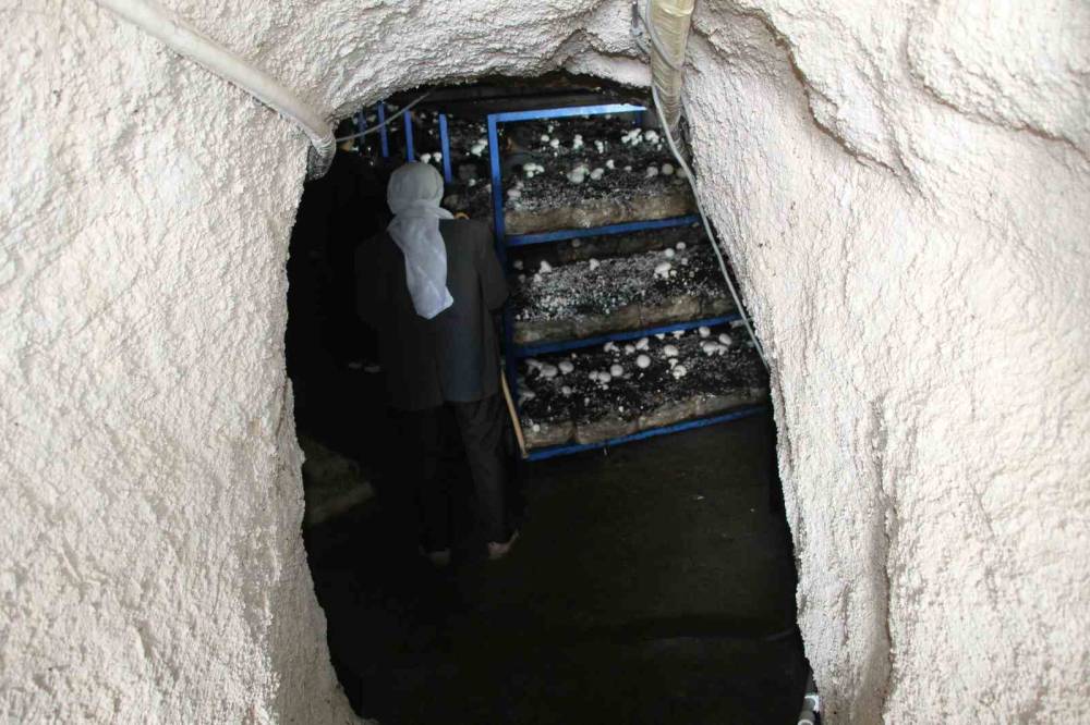 Şırnak'ta 2 Bin Yıllık Tarihi Mağarada Mantar Üretim Tesisi Kurdu