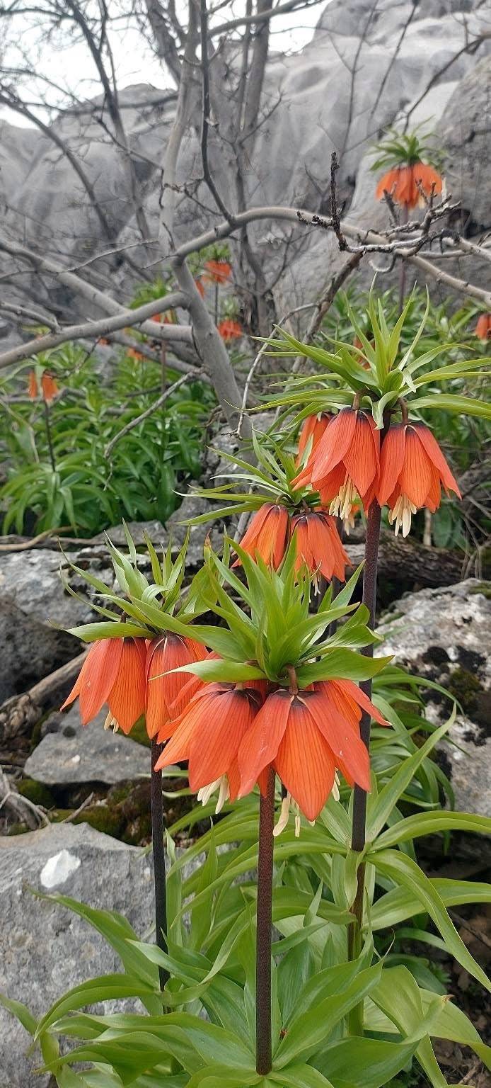 Şırnak, Diyarbakır, Van, Erzurum, Hakkari ve Adıyaman'da Bu Hatayı Yapanlara 700 Bin Lira Ceza Kesilecek!