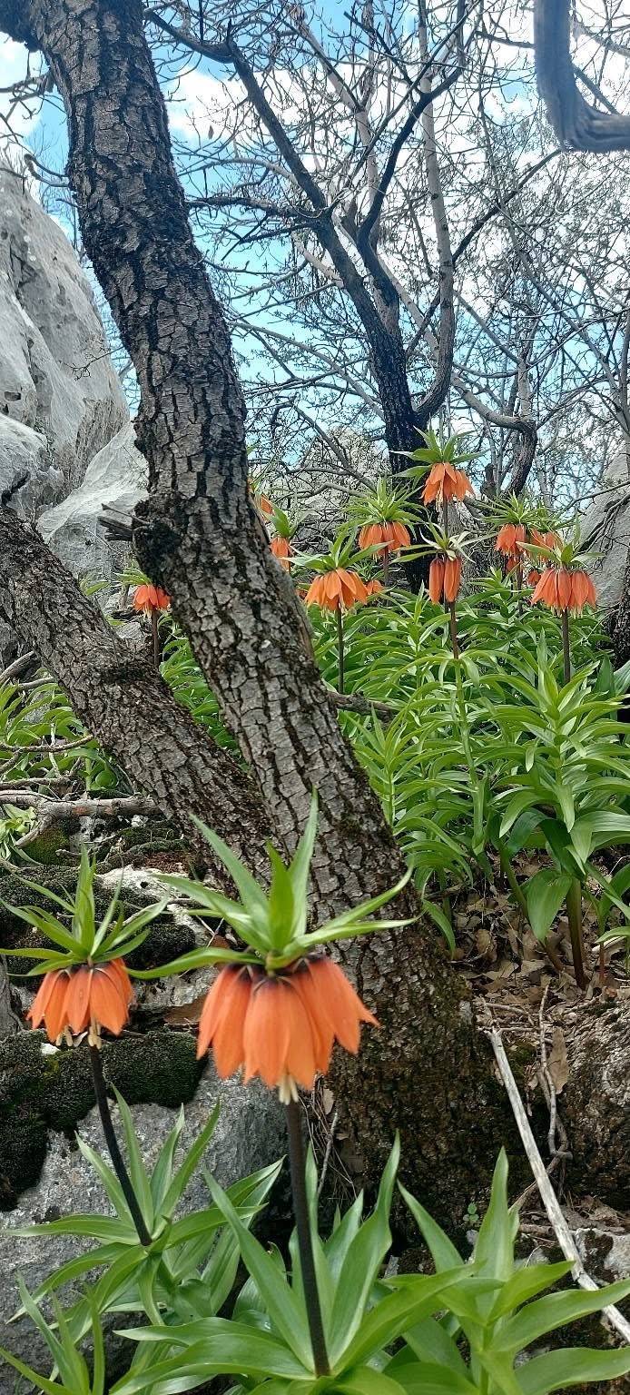 Şırnak, Diyarbakır, Van, Erzurum, Hakkari ve Adıyaman'da Bu Hatayı Yapanlara 700 Bin Lira Ceza Kesilecek!