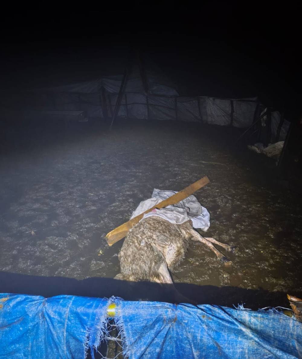 Şırnak’ta Fırtına Ağılı Yıktı: 6 Koyun Telef Oldu