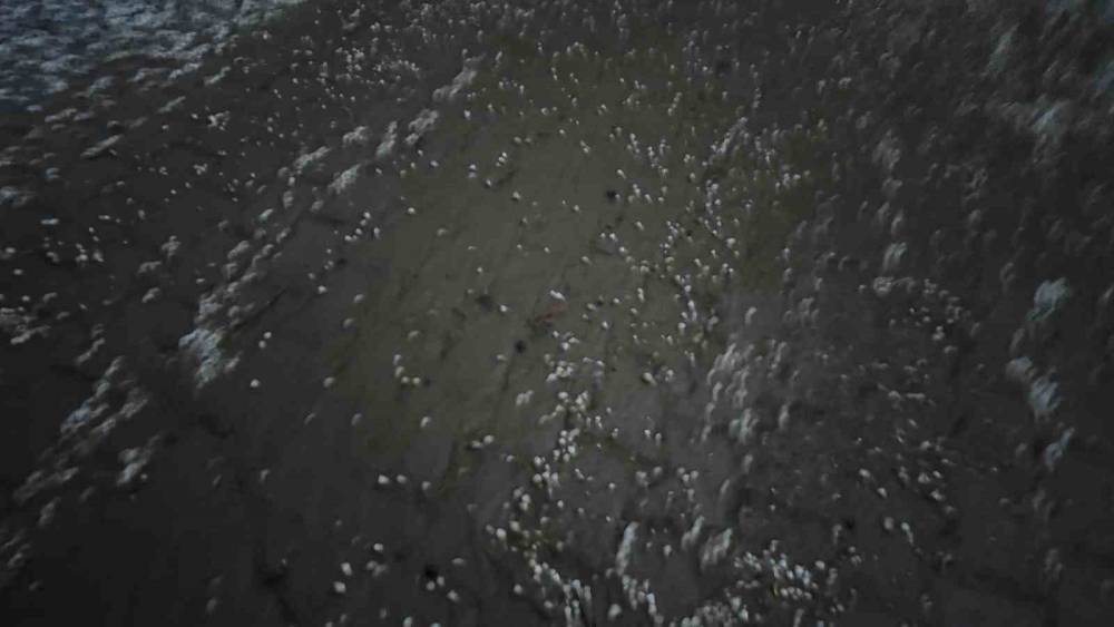 Beytüşşebap’ta Dolu Yağışı Her Yeri Beyaza Bürüdü