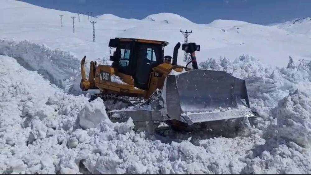 Şırnak'ta Bir Yandan Karla Mücadele Bir Yandan da Ağaç Budama Yapılıyor
