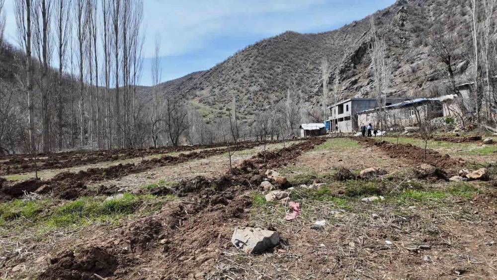 Şırnaklı Çiftçi Devlet Desteğiyle 25 Dönüm Arazisine Meyve Fidanı Dikti