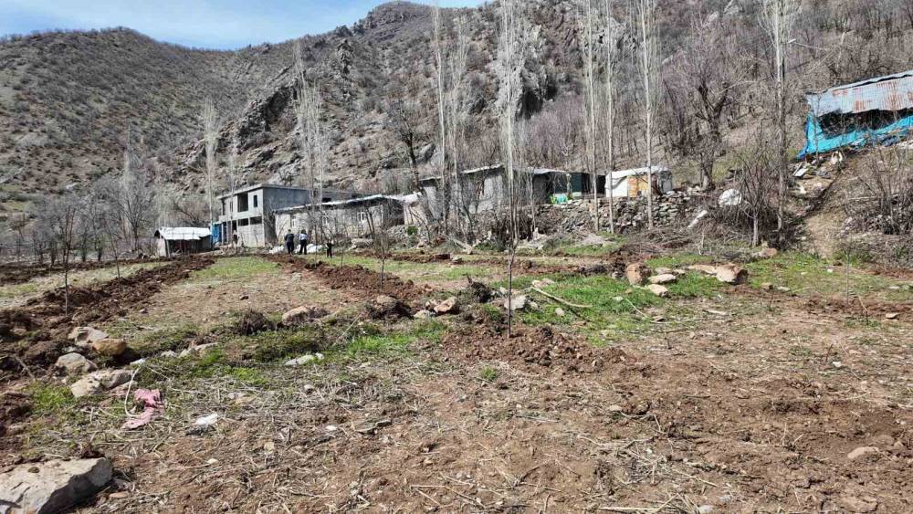 Şırnaklı Çiftçi Devlet Desteğiyle 25 Dönüm Arazisine Meyve Fidanı Dikti