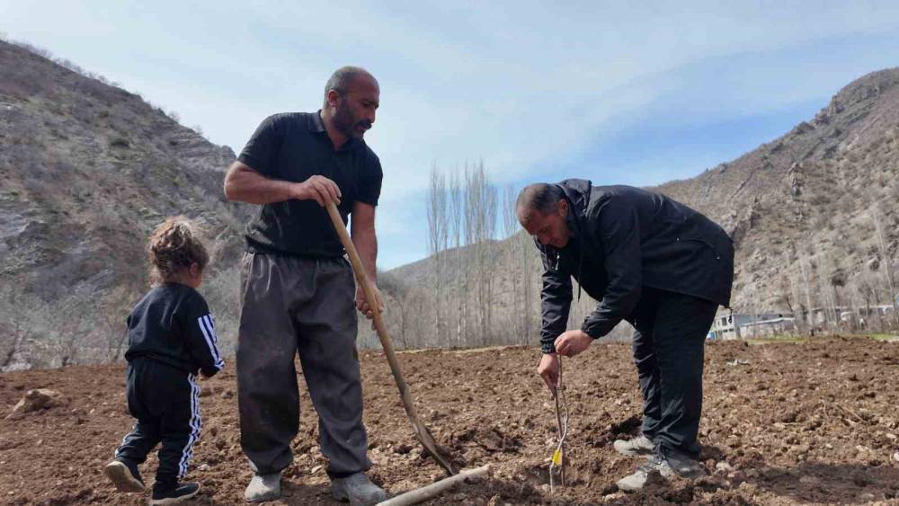 Şırnaklı Çiftçi Devlet Desteğiyle 25 Dönüm Arazisine Meyve Fidanı Dikti